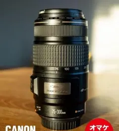 2026年最新】EF75-300mm F4-5.6 IS USMの人気アイテム - メルカリ