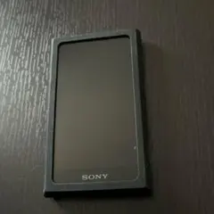 限定版‼️禰豆子 炭治郎 鬼滅の刃 ウォークマン NW-A105 黒 - メルカリ