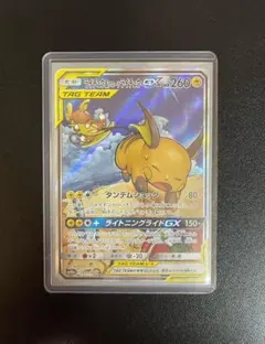 2026年最新】ライチュウ&アローラライチュウ saの人気アイテム - メルカリ