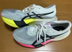 2026年最新】アシックス メタスピードスカイ25.5cmの人気アイテム