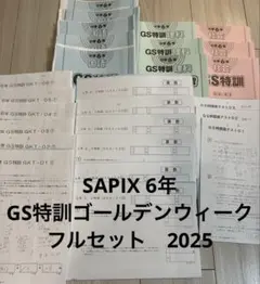 2026年最新】gs特訓の人気アイテム - メルカリ