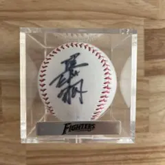 2026年最新】陽岱鋼 直筆の人気アイテム - メルカリ