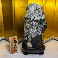 2026年最新】菊花石 岐阜の人気アイテム - メルカリ