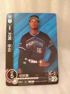 2026年最新】万波 ドリームオーダーの人気アイテム - メルカリ