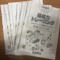 2026年最新】基礎 トレ sapixの人気アイテム - メルカリ