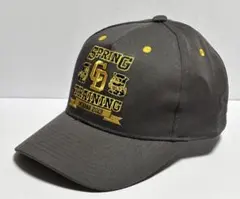 2026年最新】ドラゴンズ キャップ 沖縄の人気アイテム - メルカリ