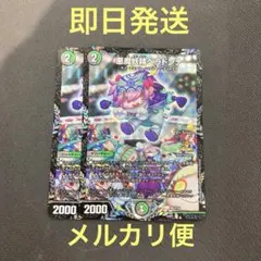 2026年最新】ベラドンナ プロモの人気アイテム - メルカリ