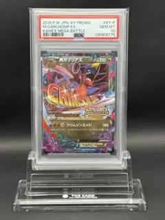 2026年最新】ポケモンカード M ガブリアスEX XY-P カメックスメガ