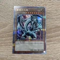 2026年最新】青眼の白龍 25th 絵違いの人気アイテム - メルカリ