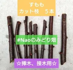 2026年最新】スモモ 穂木の人気アイテム - メルカリ