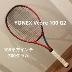 2026年最新】vcore100 2021の人気アイテム - メルカリ