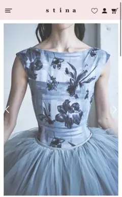 2026年最新】スティナPサイズの人気アイテム - メルカリ