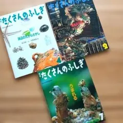 2026年最新】月刊たくさんのふしぎの人気アイテム - メルカリ