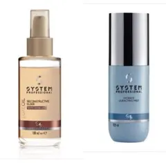 2026年最新】System クエンチングミストの人気アイテム - メルカリ