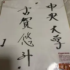 2026年最新】ライオンズ 色紙 サインの人気アイテム - メルカリ