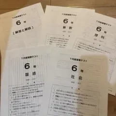 2026年最新】サピックス 6年 テストの人気アイテム - メルカリ