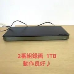 2026年最新】dmr-2w100の人気アイテム - メルカリ