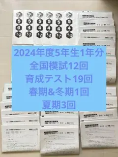 2026年最新】日能研 育成テスト 5年の人気アイテム - メルカリ