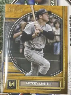 2026年最新】ミッキーマントル カードの人気アイテム - メルカリ
