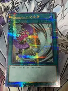 2026年最新】ハーピィの羽根帚 25thの人気アイテム - メルカリ