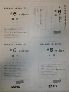 2026年最新】Sapix 入室テスト 新1年の人気アイテム - メルカリ