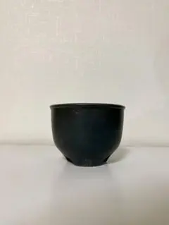 2026年最新】伝市 鉢の人気アイテム - メルカリ