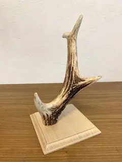 2026年最新】鹿角 オブジェの人気アイテム - メルカリ