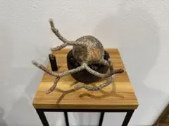 2026年最新】valiem deep voidの人気アイテム - メルカリ