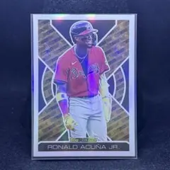 2026年最新】アクーニャJr toppsの人気アイテム - メルカリ