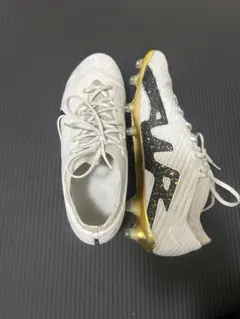 2026年最新】マーキュリアル ag 25.5の人気アイテム - メルカリ