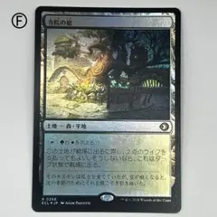 2026年最新】寺院の庭 foilの人気アイテム - メルカリ