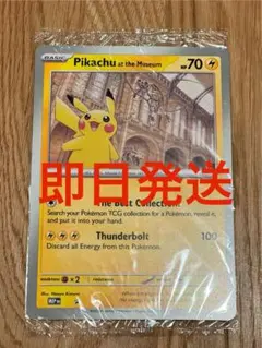Pikachu at the Museum ポケモン 博物館 コラボ プロモ - メルカリ