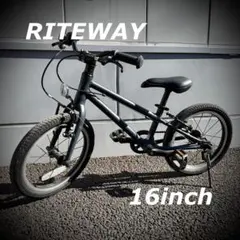 2026年最新】RITEWAY ZIT 16の人気アイテム - メルカリ