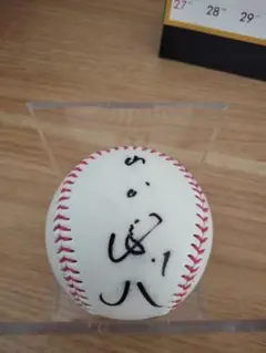 2026年最新】山田哲人 サインボールの人気アイテム - メルカリ