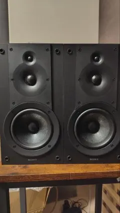 2026年最新】ss-cs8 sonyの人気アイテム - メルカリ