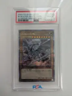 2026年最新】ブルーアイズホワイトドラゴン psa10の人気アイテム