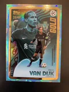 2026年最新】ファンダイク カードの人気アイテム - メルカリ