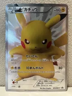 2026年最新】229/BW-Pの人気アイテム - メルカリ