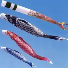 2026年最新】鯉月の人気アイテム - メルカリ