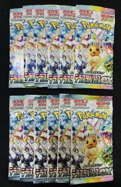 2026年最新】サーチ済み テラスタルフェスの人気アイテム - メルカリ