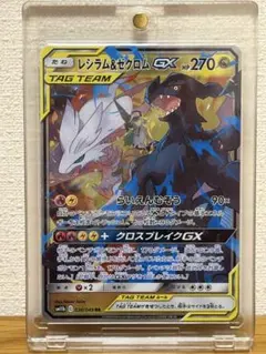 2026年最新】gx レシラム&ゼクロムの人気アイテム - メルカリ