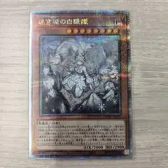 2026年最新】迷宮城の白銀姫 イラスト違いの人気アイテム - メルカリ