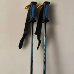 2026年最新】SWIX cobraの人気アイテム - メルカリ