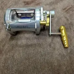 2026年最新】accurate リールの人気アイテム - メルカリ