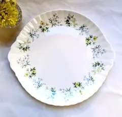 2026年最新】ミントン スプリングバレーの人気アイテム - メルカリ