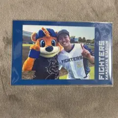 2026年最新】鎌ヶ谷 カビーの人気アイテム - メルカリ