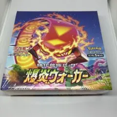 2026年最新】爆炎ウォーカー boxの人気アイテム - メルカリ