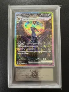 2026年最新】ブラッキー psa10 テラスタルフェスの人気アイテム - メルカリ