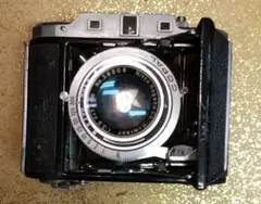 2026年最新】leotax fの人気アイテム - メルカリ