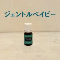 2026年最新】ヤングリビングの人気アイテム - メルカリ